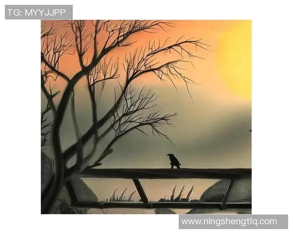 探索奥蓬达的魅力与历史深度,揭示其在当代文化中的独特地位与影响力 探索奥蓬达的魅力与历史深度,揭示其在当代文化中的独特地位与影响力