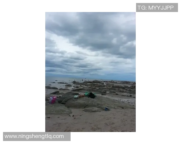 皇家盐湖与圣何塞地的激烈对决谁能在赛场上笑到最后 皇家盐湖与圣何塞地的激烈对决谁能在赛场上笑到最后