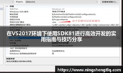 在VS2017环境下使用SDK81进行高效开发的实用指南与技巧分享
